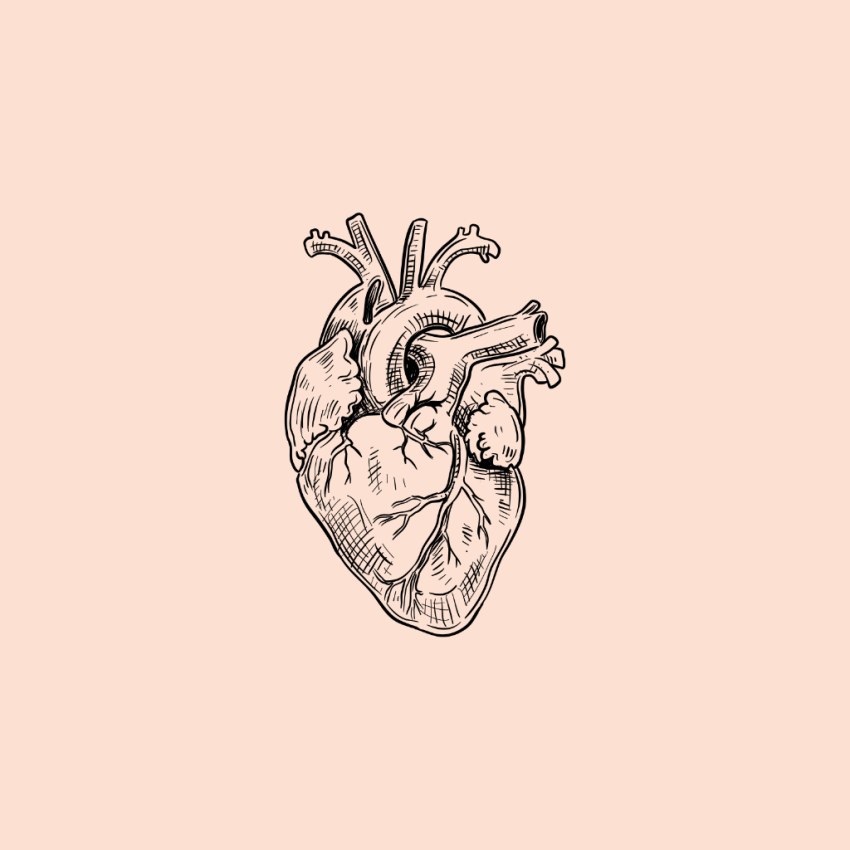 نقاشی یک قلب